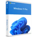 Windows 11 Pro -lizenzpunkt.de