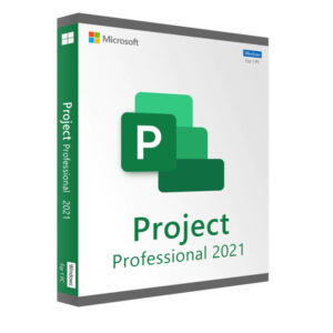 Project 2021 Professional -lizenzpunkt.de
