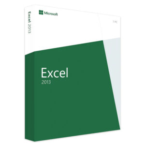 Microsoft Excel 2013-LizenzPunkt