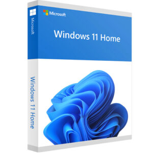 windows 11 home key-Lizenzpunkt.de