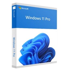 Microsoft Windows 11 Professional OEM-lizenzpunkt.de